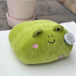wendy the frog squishmallow 