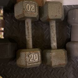 20 lb Set