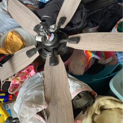 Ceiling Fan