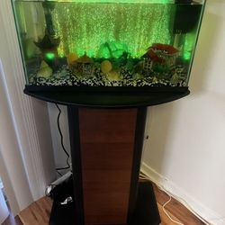 Fish Tank And Stand 
