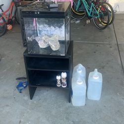 20 Gallon Salt Water Fish Tank 