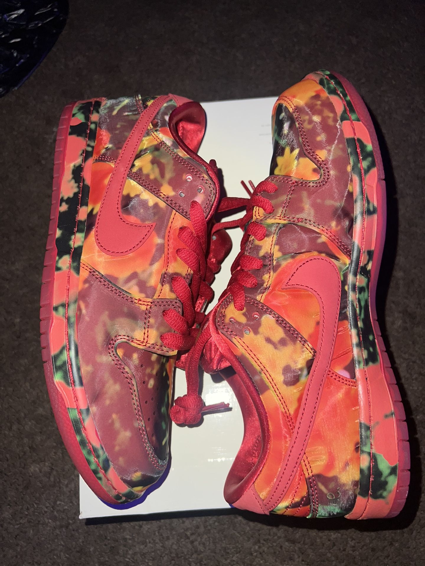 Nike Dunk Sb Sz 11 “wizard Of Oz”