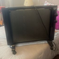 Delonghi Radiant Space Heater