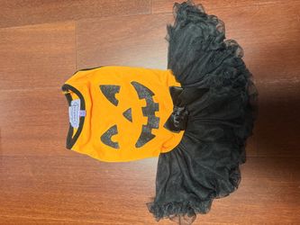 Halloween costume for small dogs