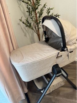 Nuna Demi Next bassinet biscotti