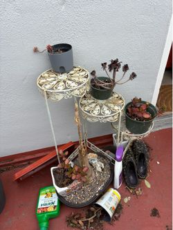 Free - outdoor furniture