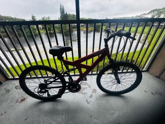 Bicycle $70