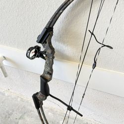 Bow & Arrows