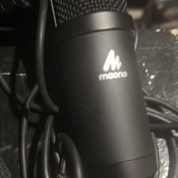 Mic