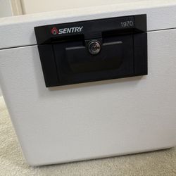 Sentry Safe 1970 Fireproof File Box/Cabinet