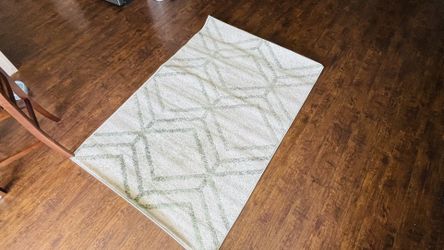 4x6 Sage Green Area Rug