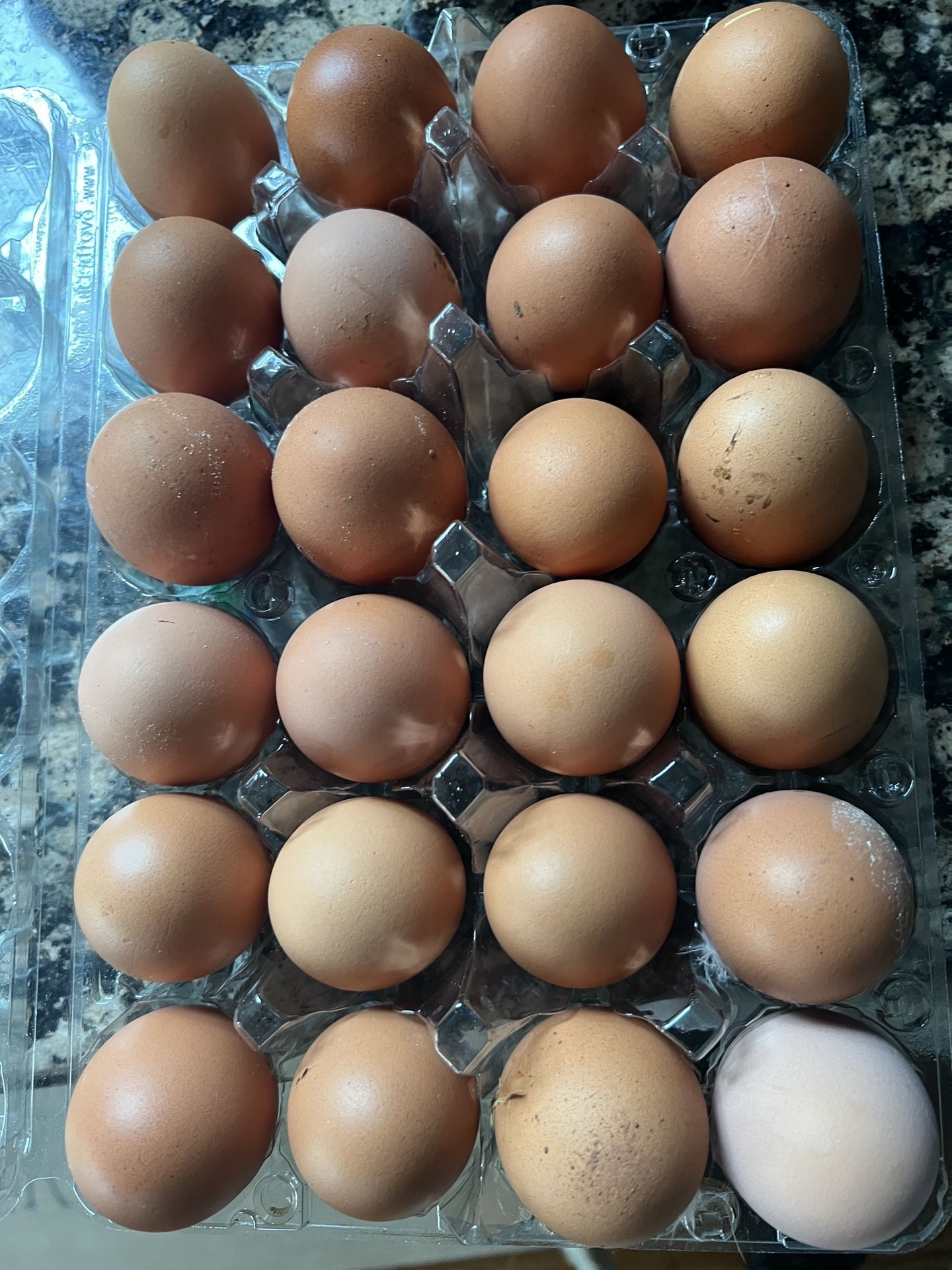 Organic Fresh Healthy Chicken Eggs