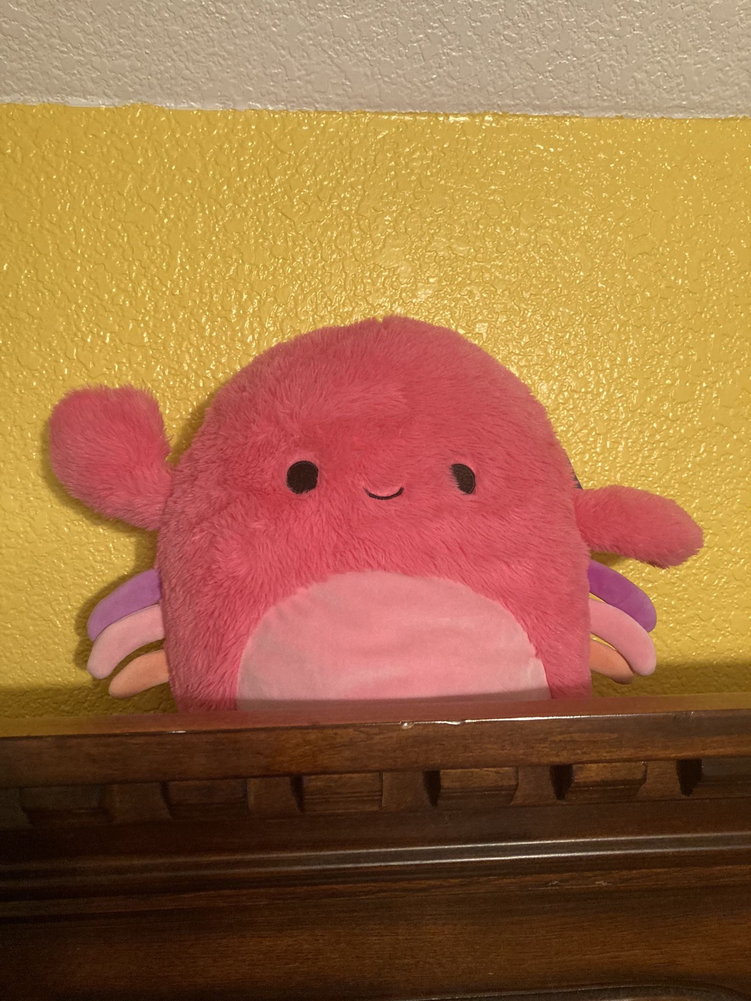 Fluffy Squishmallows!