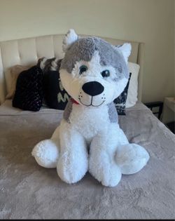 Big Husky Dog