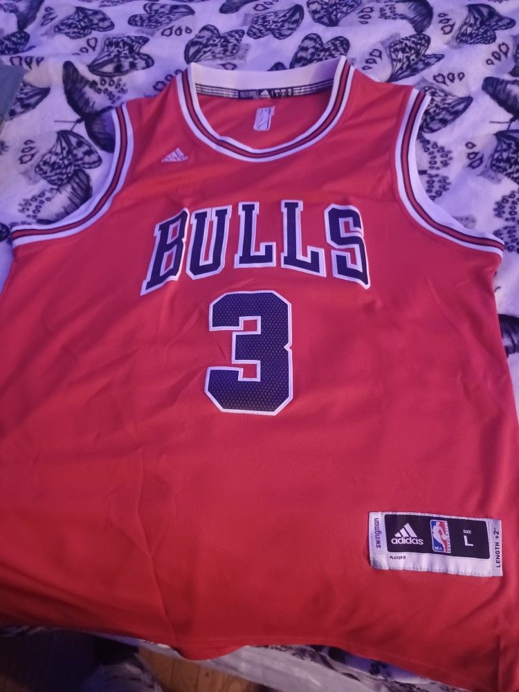 Dwayne Wade Chicago Bulls Jersey