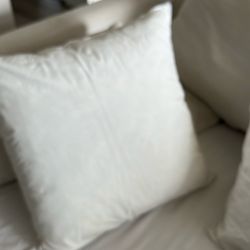 Plain White Feathered Pillows
