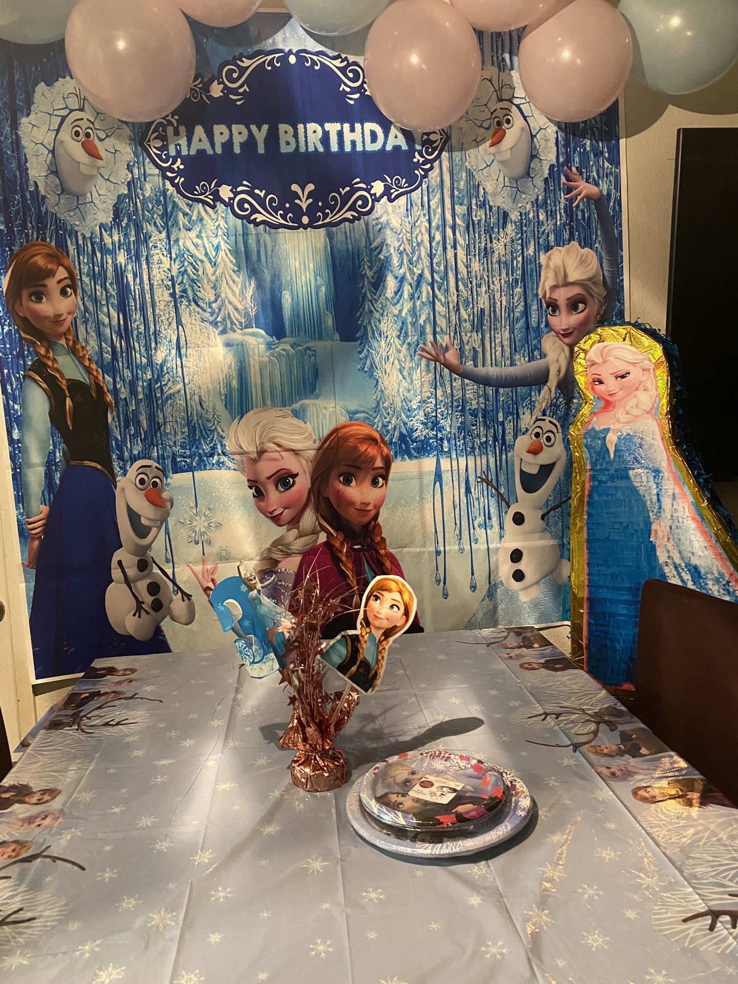 Banner Elsa