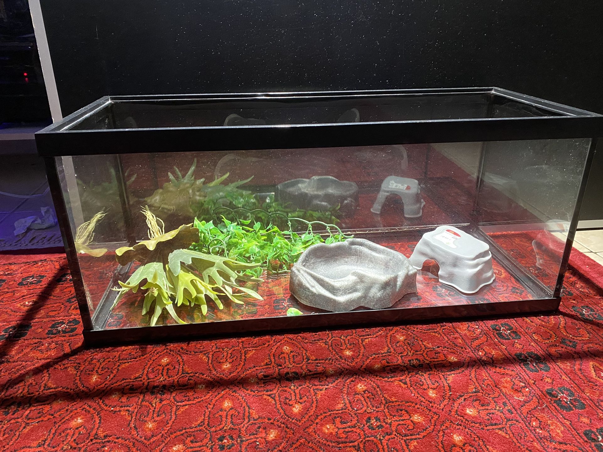 20 Gallon Long Fish Tank