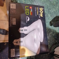 90w LED Floodlight Bulbs
