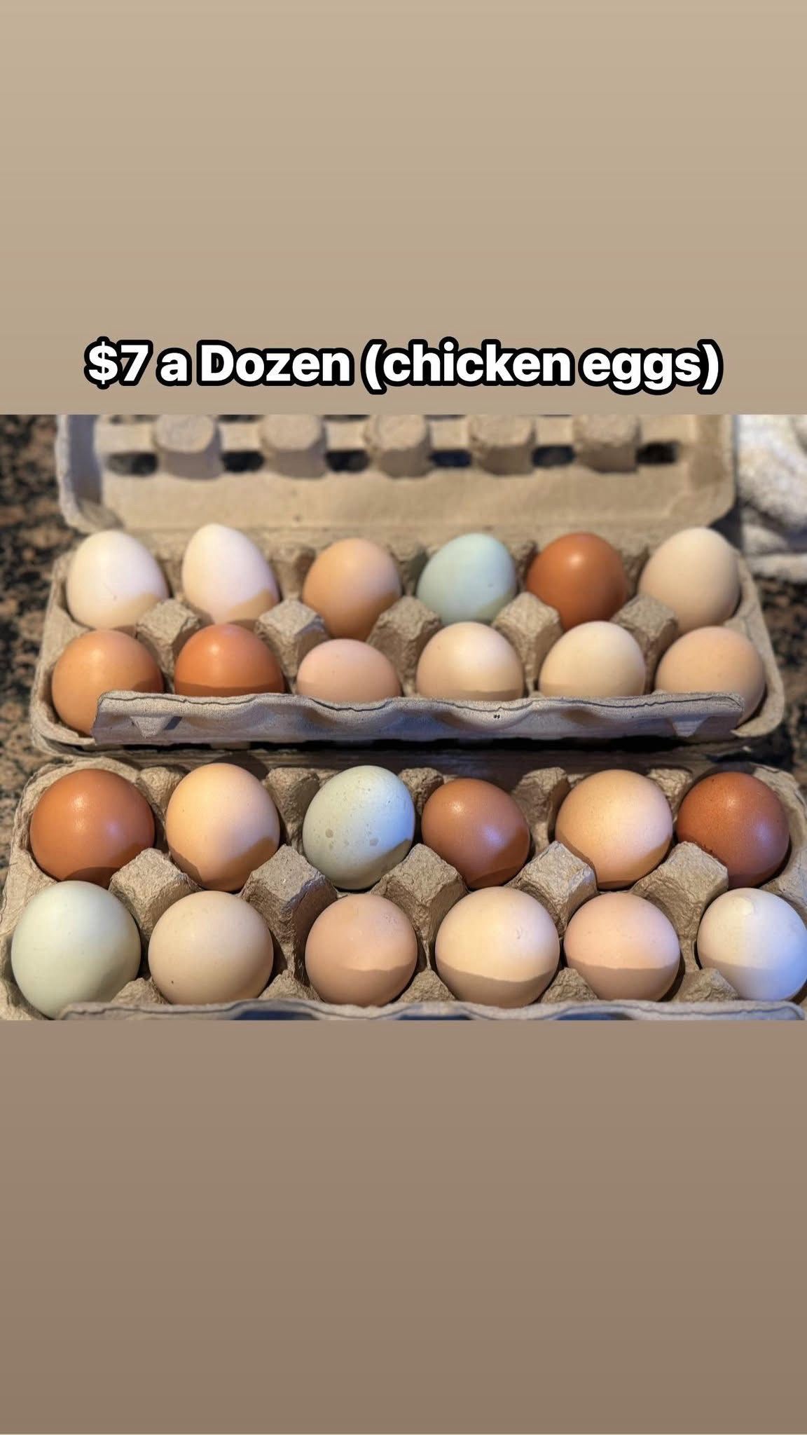 Chicken Eggs (fresh)