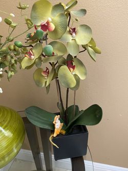 Green flower vase very beautiful