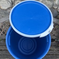 Rice 🍚 & Bean 🫘 Storage Container 