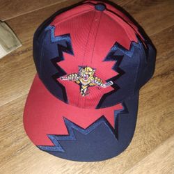 Vintage florida panthers hat