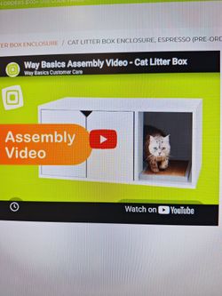 Cat, small dog box