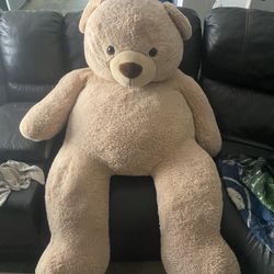 Giant Teddy Bear