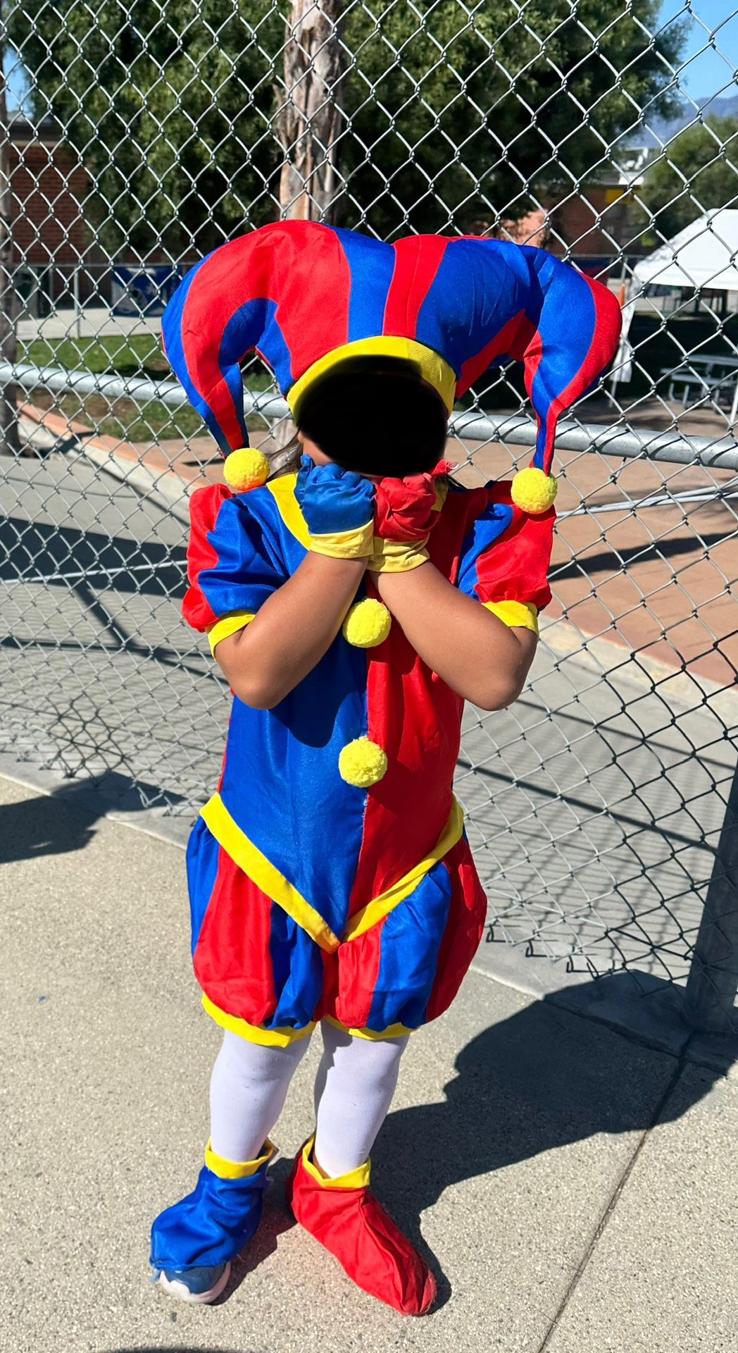 Complete Pomni Costume Size Kids M