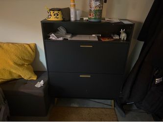 Black and Gold Shoe Organizer
