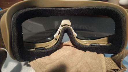 Wiley Googles