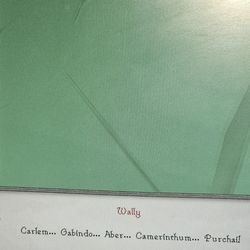 Whitehall forget shoveling, I will do it all for you.