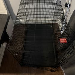 Extra Large Dog Crate