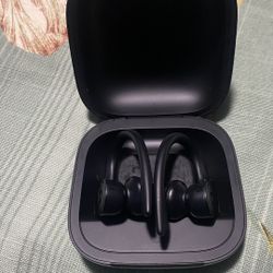 Electronic  Beats  Powerbeats Pro Wireless  Thumbnail