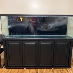 Complete Aquarium Setup w/ Stand, Filters & Supplies – Everything Included