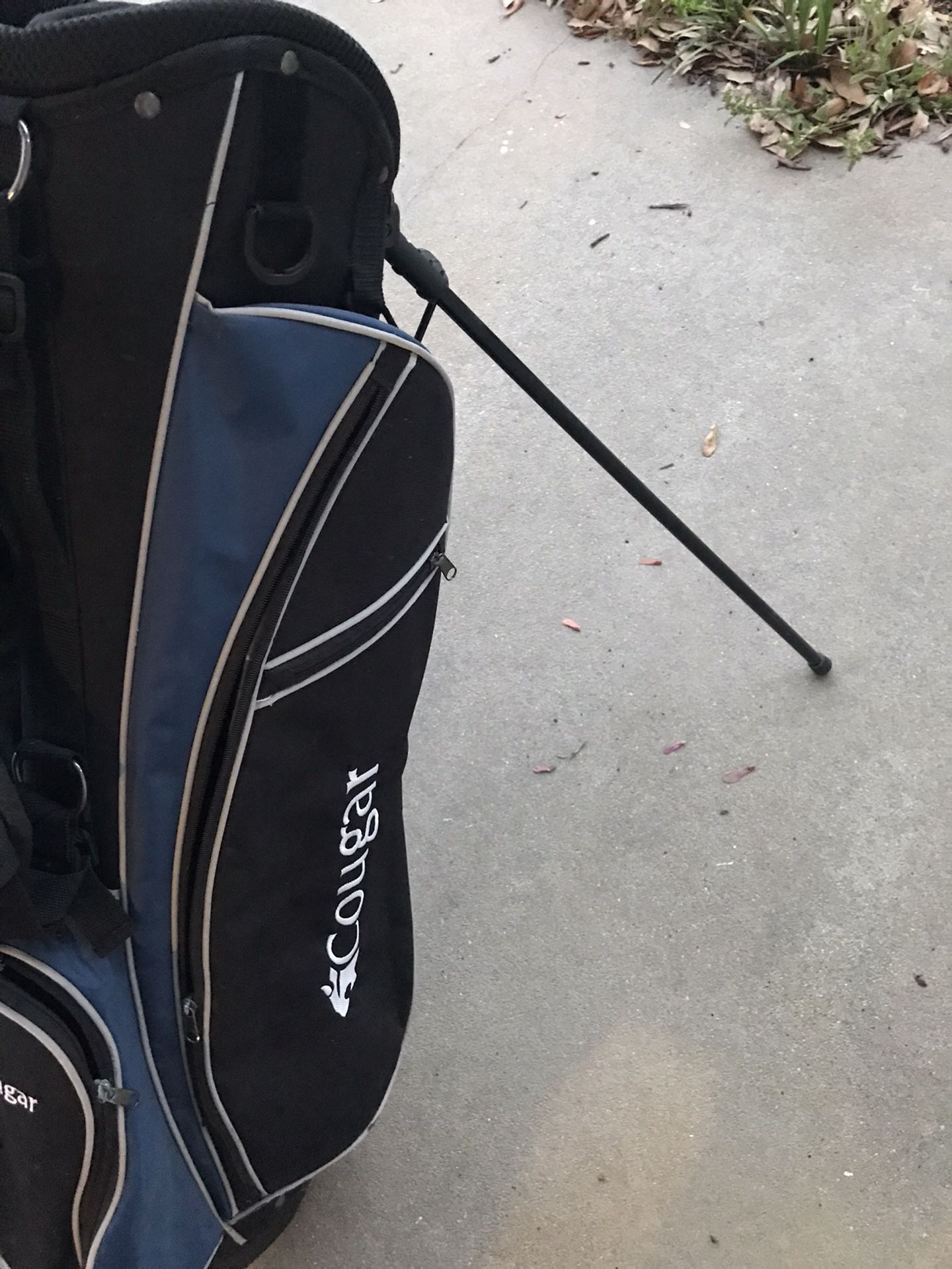 Golf Bag Like New