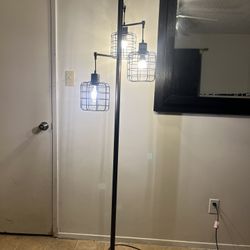 Black Floor Lamp $65