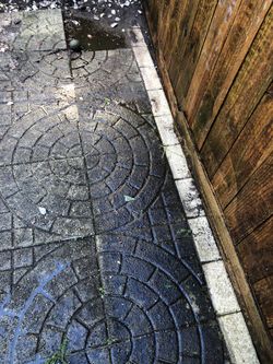 Clean yours side walk o patios roofs