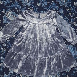 2 T Cat & Jack Dress 