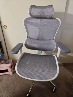SIHOO Ergonomic Chair - Doro c300
