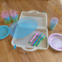 reusable plastic dishes, flatware, carry case