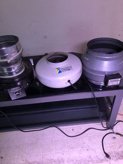 Grow lights 200 obo.