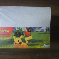 Ascended Heroes - Mini Tin Display