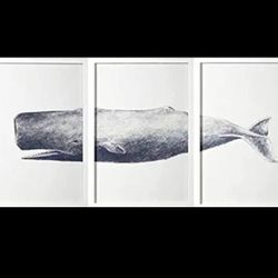 3 piece Sperm whale picture.