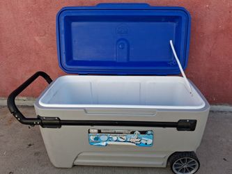 Cooler/hielera
