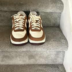 Nike Dunks Low. Size 10.5