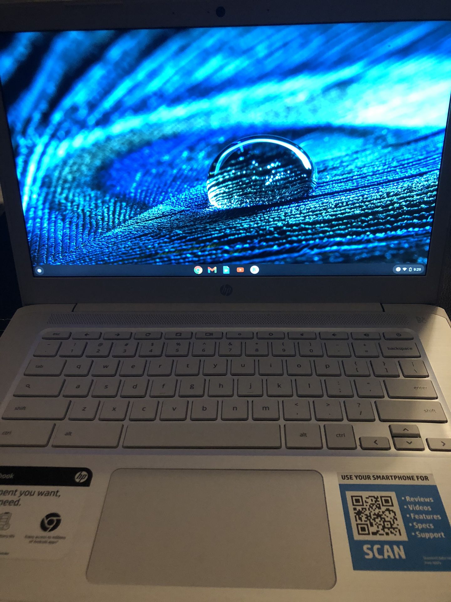 HP Snow White Chromebook Laptop