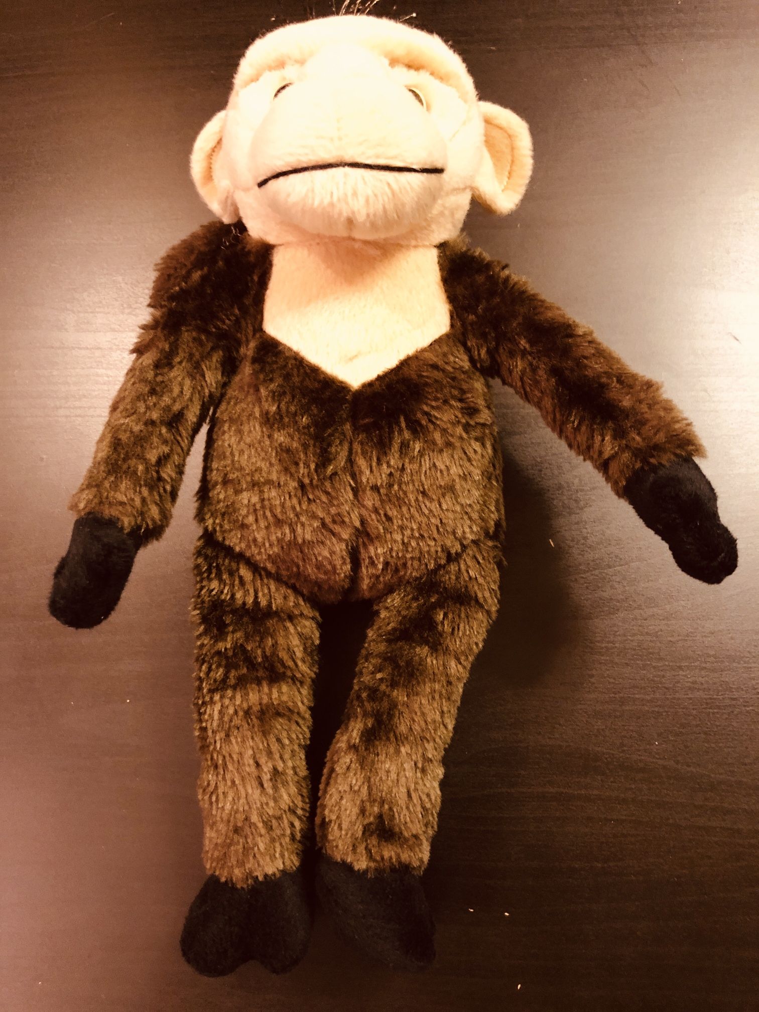 Rare Wicked The  Monkey Plush Toy 11" 2015 - Toys & Collectibles