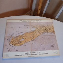 Panorama Of The Seat Of War 1861 Birds Eye View FL GA AL Wall Hanging 16x12.5